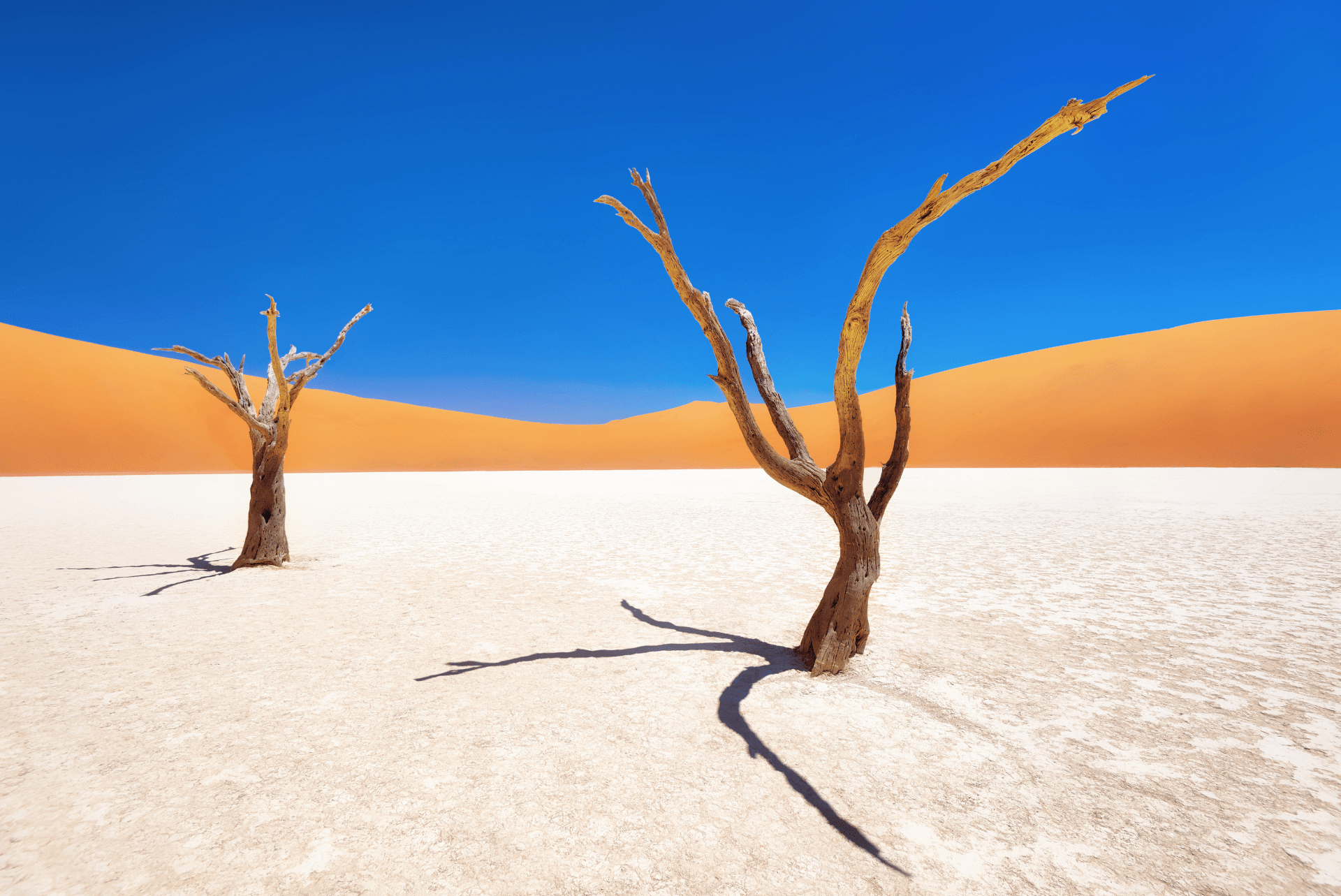 Namibia Travel Guide