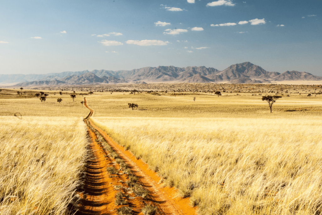 Decoding the costs: A Comprehensive Guide to Namibian Safari Options